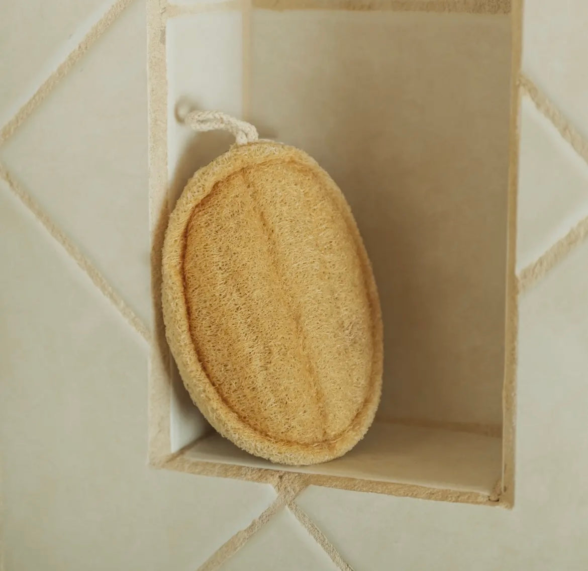 Natural Loofah (for bathing)