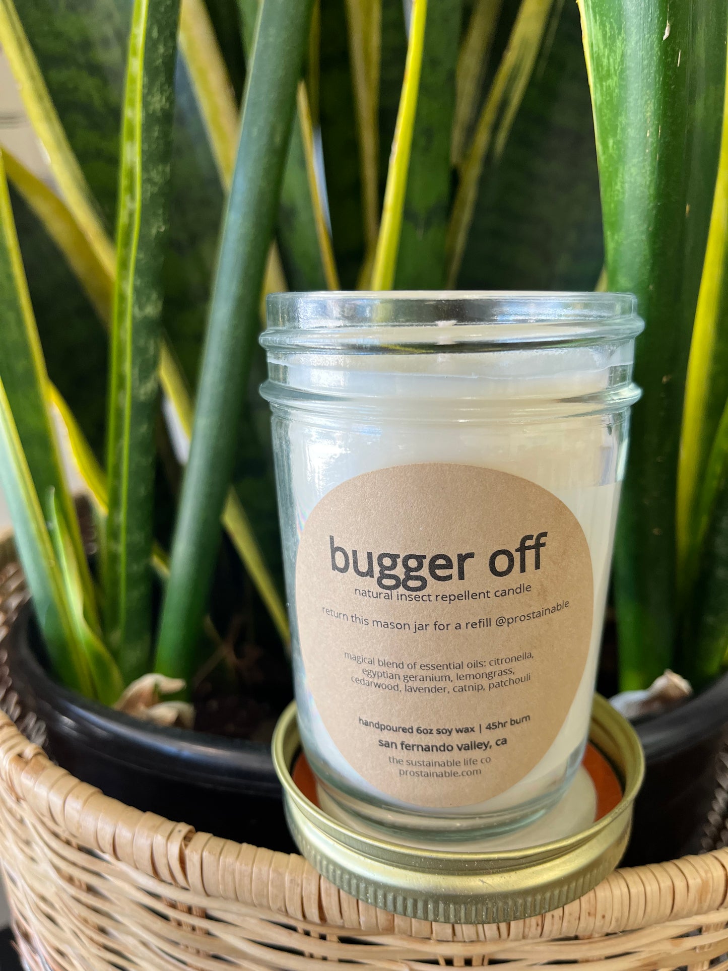 Bugger off candle - natural bug repellent 6oz